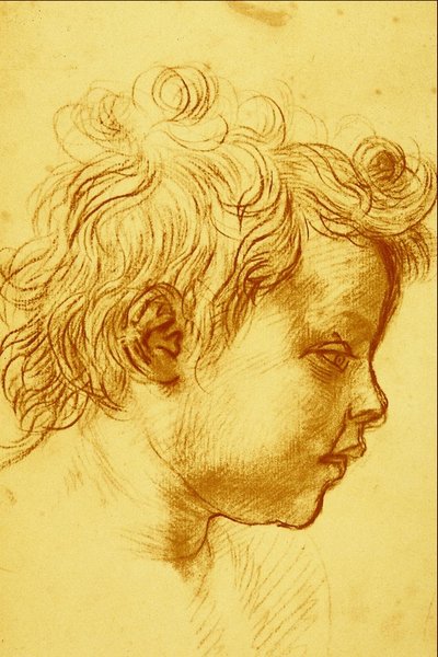 Andrea del Sarto by Andrea del Sarto
